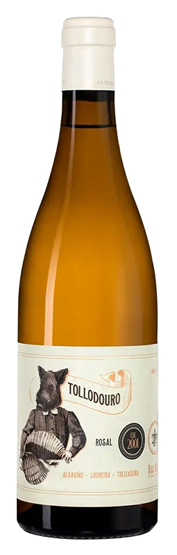 Вино Тольодоуро (Риас Байшас) 2020г белое сухое, алк. 12,5%, 0,75л